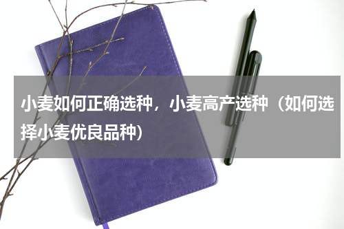 小麦如何正确选种，小麦高产选种（如何选择小麦优良品种）