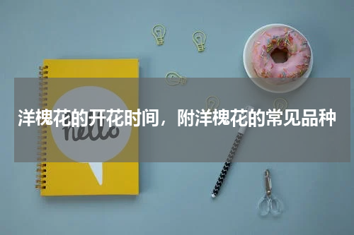 洋槐花的开花时间，附洋槐花的常见品种
