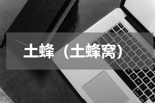 土蜂（土蜂窝）