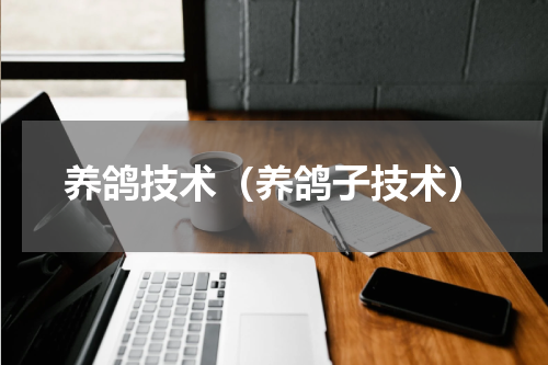养鸽技术（养鸽子技术）