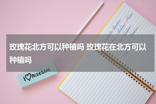玫瑰花北方可以种植吗 玫瑰花在北方可以种植吗