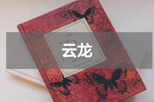 云龙