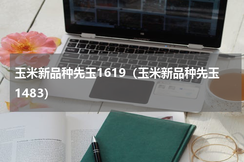 玉米新品种先玉1619（玉米新品种先玉1483）