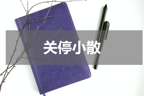 关停小散