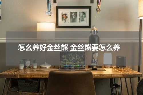 怎么养好金丝熊 金丝熊要怎么养