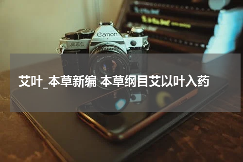 艾叶_本草新编 本草纲目艾以叶入药