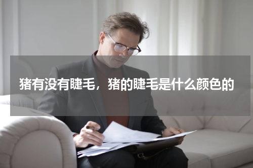 猪有没有睫毛，猪的睫毛是什么颜色的