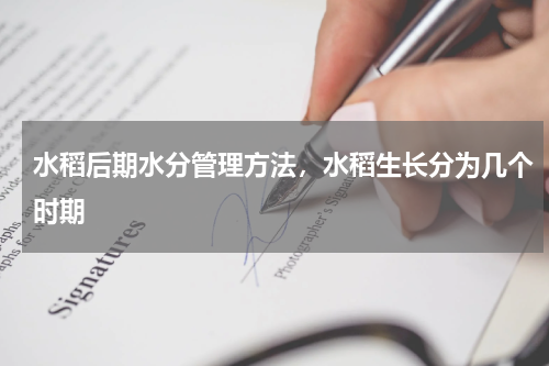 水稻后期水分管理方法，水稻生长分为几个时期