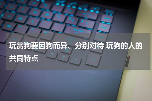 玩赏狗要因狗而异、分别对待 玩狗的人的共同特点