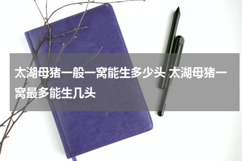 太湖母猪一般一窝能生多少头 太湖母猪一窝最多能生几头