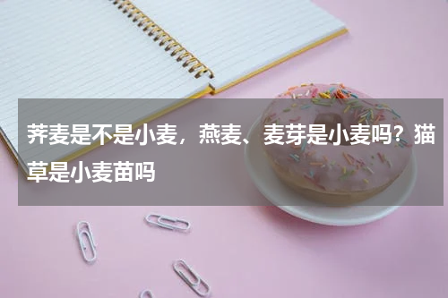 荠麦是不是小麦，燕麦、麦芽是小麦吗？猫草是小麦苗吗