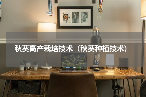 秋葵高产栽培技术（秋葵种植技术）