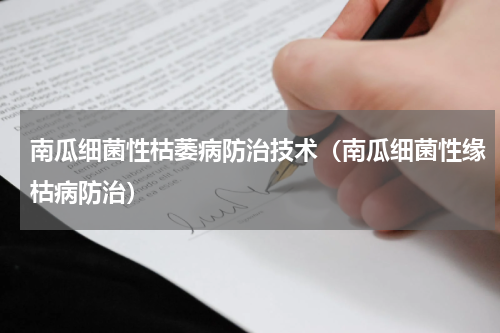 南瓜细菌性枯萎病防治技术（南瓜细菌性缘枯病防治）