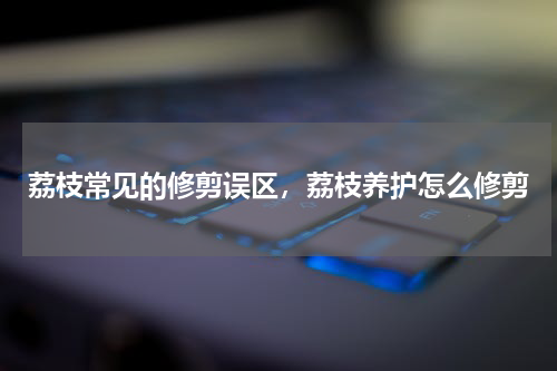 荔枝常见的修剪误区，荔枝养护怎么修剪