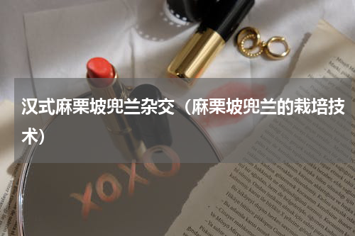 汉式麻栗坡兜兰杂交（麻栗坡兜兰的栽培技术）