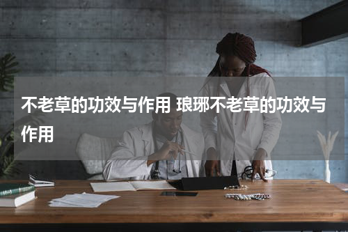 不老草的功效与作用 琅琊不老草的功效与作用