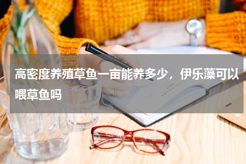 高密度养殖草鱼一亩能养多少，伊乐藻可以喂草鱼吗