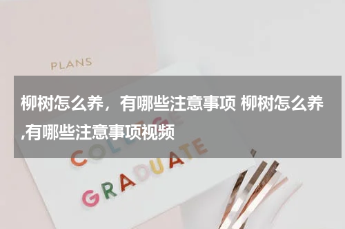 柳树怎么养，有哪些注意事项 柳树怎么养,有哪些注意事项视频