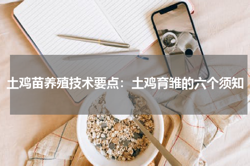 土鸡苗养殖技术要点：土鸡育雏的六个须知