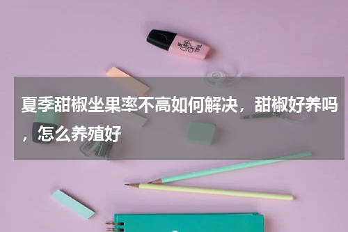 夏季甜椒坐果率不高如何解决，甜椒好养吗，怎么养殖好