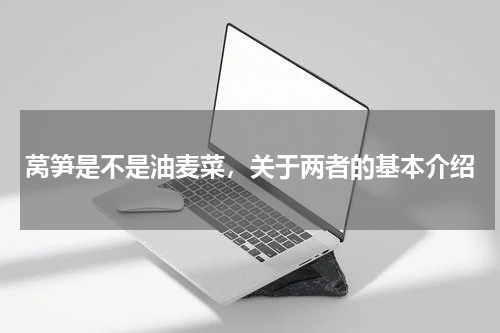 莴笋是不是油麦菜，关于两者的基本介绍