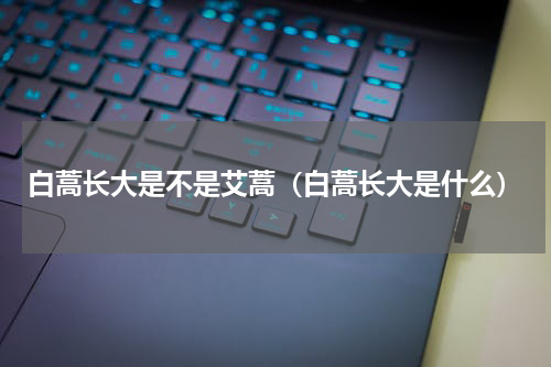 白蒿长大是不是艾蒿（白蒿长大是什么）