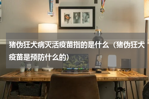 猪伪狂犬病灭活疫苗指的是什么（猪伪狂犬疫苗是预防什么的）