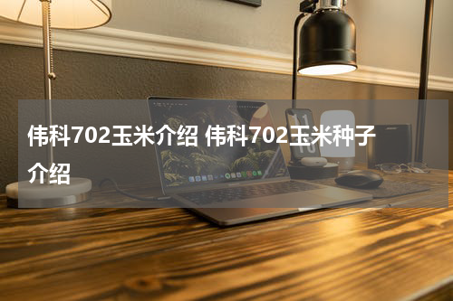 伟科702玉米介绍 伟科702玉米种子介绍