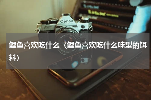 鲤鱼喜欢吃什么（鲤鱼喜欢吃什么味型的饵料）