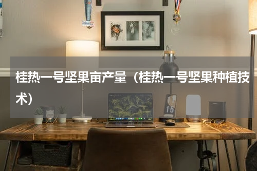 桂热一号坚果亩产量（桂热一号坚果种植技术）