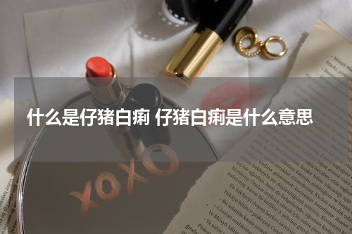 什么是仔猪白痢 仔猪白痢是什么意思