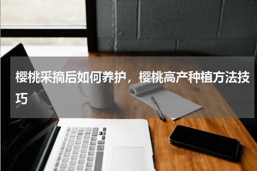 樱桃采摘后如何养护，樱桃高产种植方法技巧