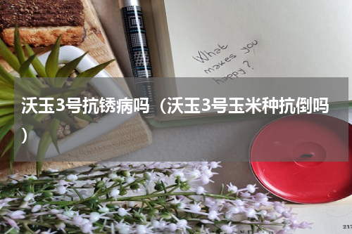 沃玉3号抗锈病吗（沃玉3号玉米种抗倒吗）