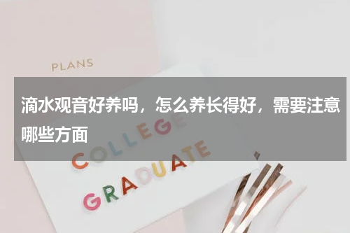 滴水观音好养吗，怎么养长得好，需要注意哪些方面