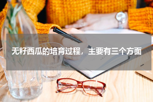 无籽西瓜的培育过程，主要有三个方面