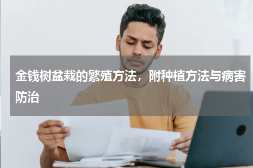 金钱树盆栽的繁殖方法，附种植方法与病害防治