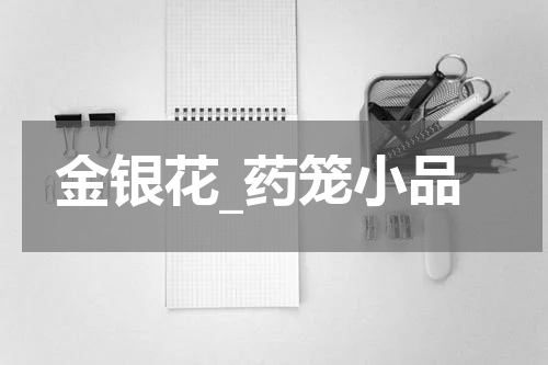 金银花_药笼小品