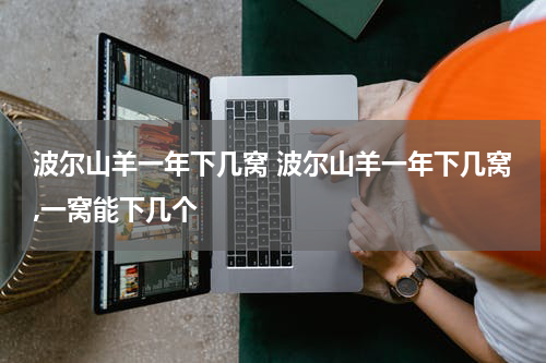 波尔山羊一年下几窝 波尔山羊一年下几窝,一窝能下几个