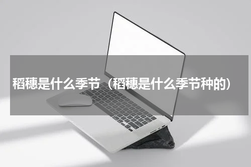 稻穗是什么季节（稻穗是什么季节种的）