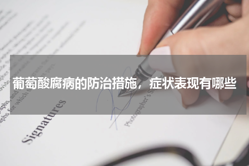 葡萄酸腐病的防治措施，症状表现有哪些