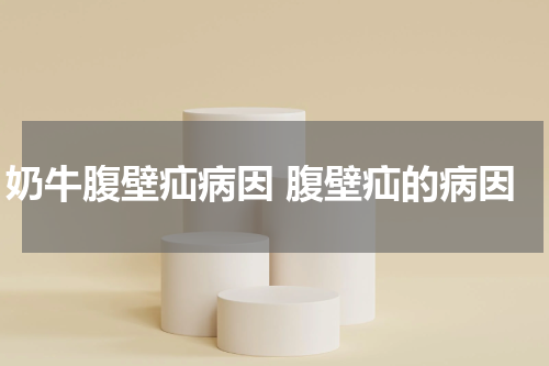 奶牛腹壁疝病因 腹壁疝的病因