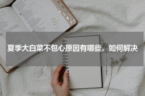 夏季大白菜不包心原因有哪些，如何解决
