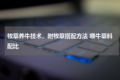 牧草养牛技术，附牧草搭配方法 喂牛草料配比