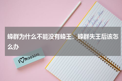 蜂群为什么不能没有蜂王，蜂群失王后该怎么办