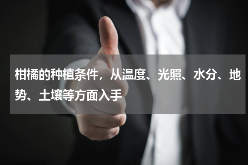 柑橘的种植条件，从温度、光照、水分、地势、土壤等方面入手