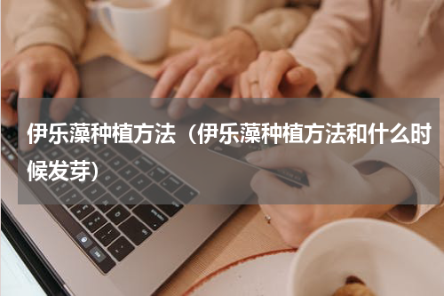 伊乐藻种植方法（伊乐藻种植方法和什么时候发芽）