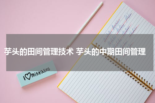 芋头的田间管理技术 芋头的中期田间管理