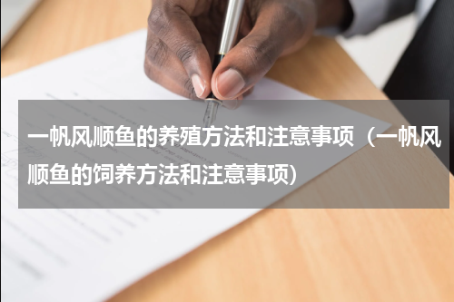 一帆风顺鱼的养殖方法和注意事项（一帆风顺鱼的饲养方法和注意事项）