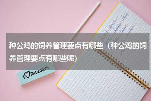 种公鸡的饲养管理要点有哪些（种公鸡的饲养管理要点有哪些呢）