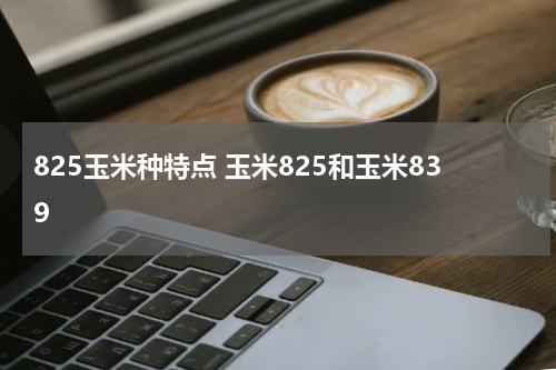 825玉米种特点 玉米825和玉米839